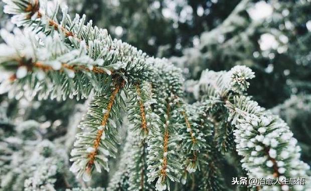 做人，彆強求，別將就！（深刻）