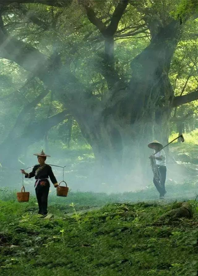 請活好，你的下半輩子（好文）