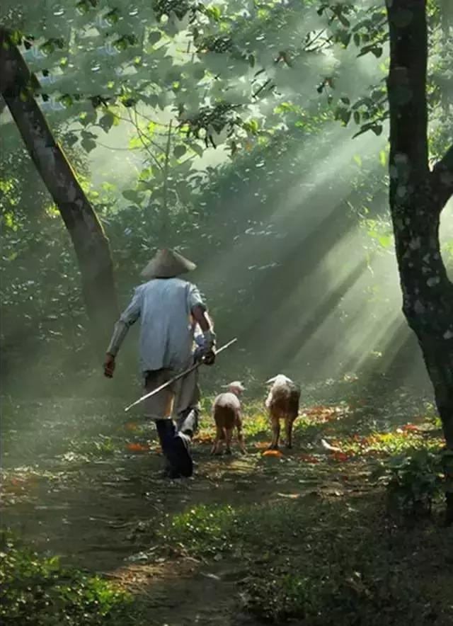請活好，你的下半輩子（好文）