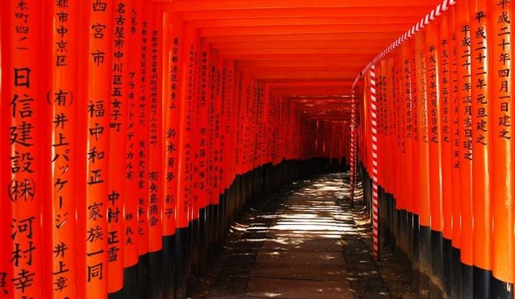 為什麼鳥居要漆成紅色的？超逗趣神社佛寺冷知識！去日本玩拿出來說嘴包準被膜拜！