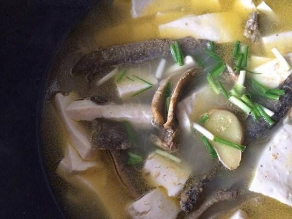 原來喝豆漿並不補鈣？醫生：真正補鈣的食物是這2種，不要吃錯了 !