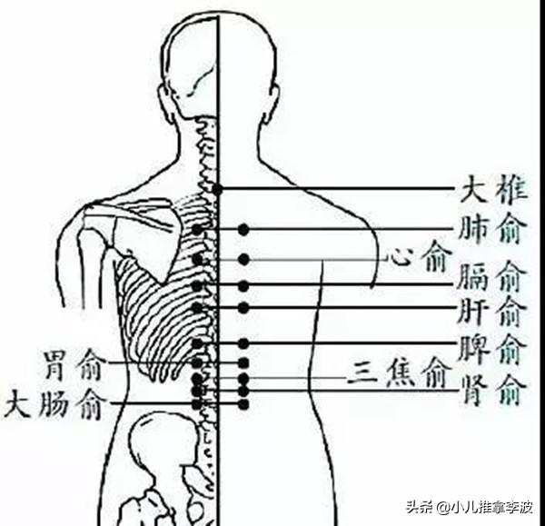 小兒推拿李波：揉脾俞——讓孩子更有胃口，可治療孩子厭食