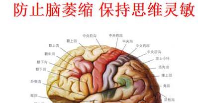 每天早晚活動一次，防止腦衰老、腦萎縮，方法很簡單，今天才知道