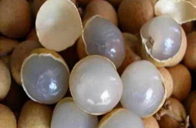 一樣東西泡水喝降低近視！失眠喝了七日痊癒！90％的人不知道正確煮法！