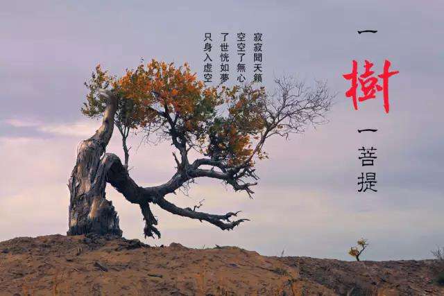 醫院的三句話，銀行的三句話，專家的三句話，不看後悔！