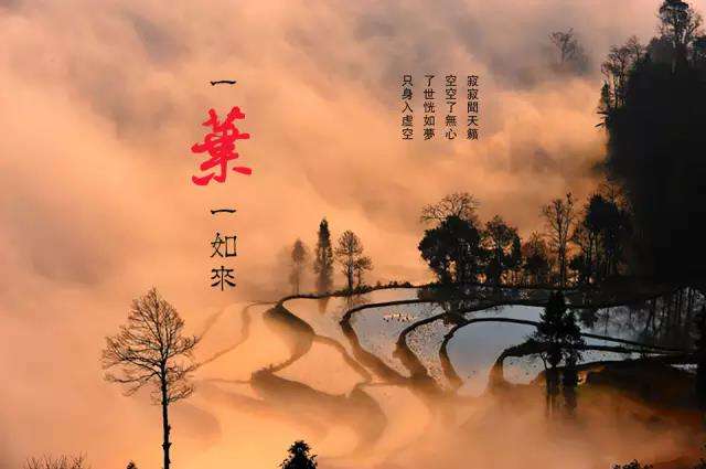 醫院的三句話，銀行的三句話，專家的三句話，不看後悔！