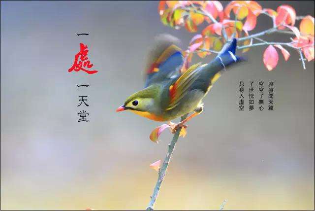 醫院的三句話，銀行的三句話，專家的三句話，不看後悔！