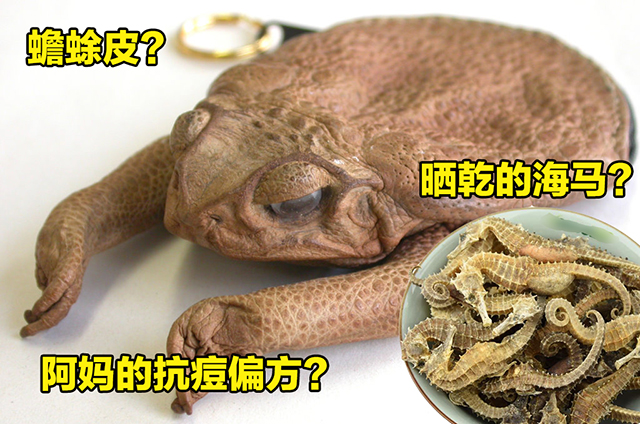 「痘」花臉醫治5步驟！還在為臉上的痘痘感到困擾？這5個步驟保證你變化為男神、女神！