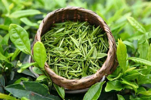 走路速度快慢決定了壽命，最好的「長壽藥」做好這4點很關鍵！