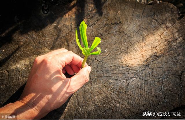 2019年12條勵志語錄，扎心扎的看不下去了