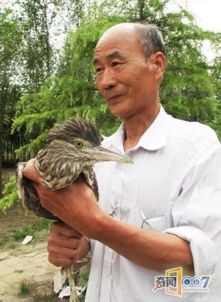 農村老漢救了一隻鳥，牠卻「送來了幾百萬」！眾人驚呼太走運了！ 