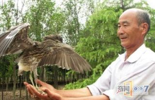 農村老漢救了一隻鳥，牠卻「送來了幾百萬」！眾人驚呼太走運了！ 