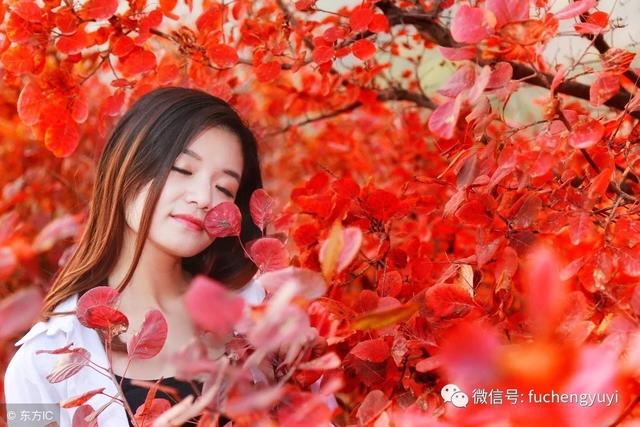 「老婆，你為什麼要離婚？」「因為你不孝順我爸媽，我是獨女」