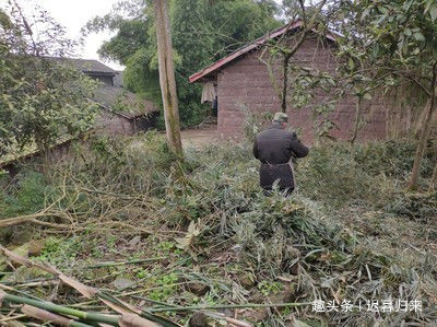 婆婆去世，7歲孫女非睡遺體旁，兒媳起疑躲床下，天亮後含淚報警