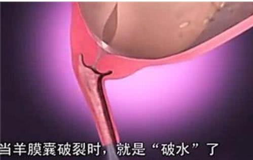 胎兒那麼大，如何從那麼小的產道出來？看完就知道女人有多偉大