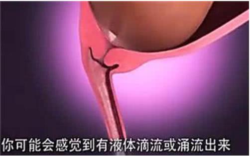 胎兒那麼大，如何從那麼小的產道出來？看完就知道女人有多偉大
