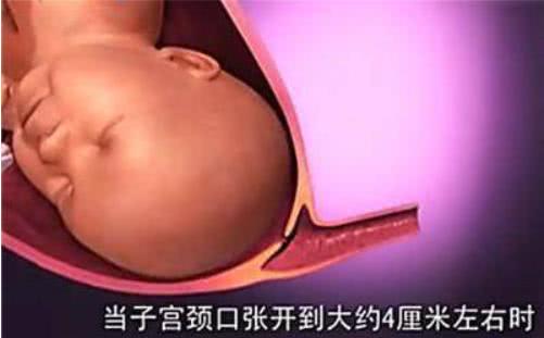 胎兒那麼大，如何從那麼小的產道出來？看完就知道女人有多偉大