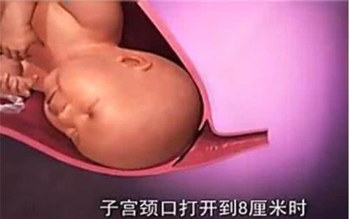 胎兒那麼大，如何從那麼小的產道出來？看完就知道女人有多偉大
