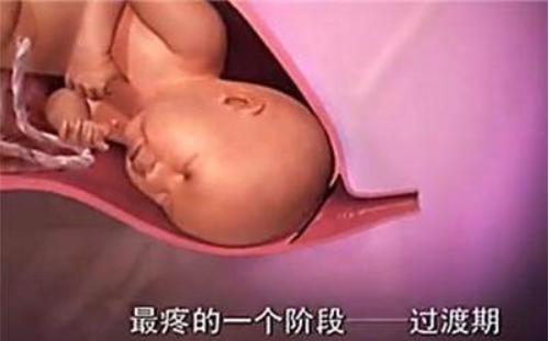 胎兒那麼大，如何從那麼小的產道出來？看完就知道女人有多偉大