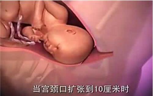 胎兒那麼大，如何從那麼小的產道出來？看完就知道女人有多偉大