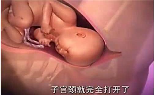 胎兒那麼大，如何從那麼小的產道出來？看完就知道女人有多偉大
