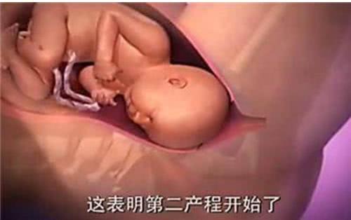 胎兒那麼大，如何從那麼小的產道出來？看完就知道女人有多偉大
