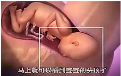 胎兒那麼大，如何從那麼小的產道出來？看完就知道女人有多偉大