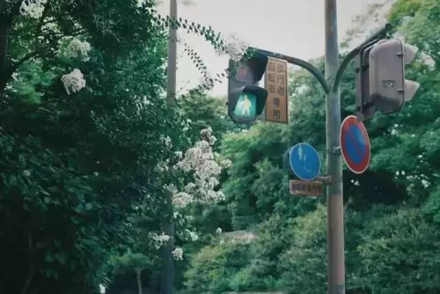 相處時，要用心，相遇了，就珍惜