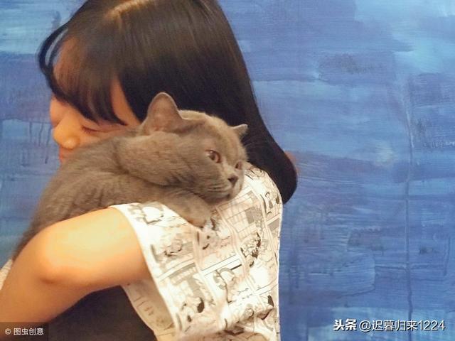 兒媳，你看你長相收入樣樣不如我兒子，憑什麼要求他做家務