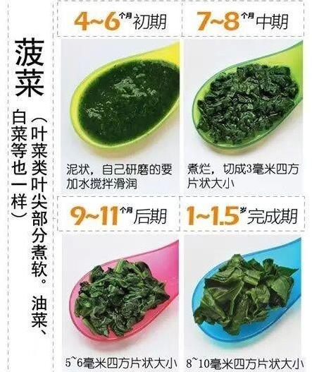 不同月齡寶寶，輔食適合吃什麼？營養專家支招：這樣做他更愛吃