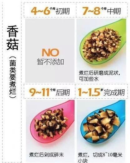 不同月齡寶寶，輔食適合吃什麼？營養專家支招：這樣做他更愛吃