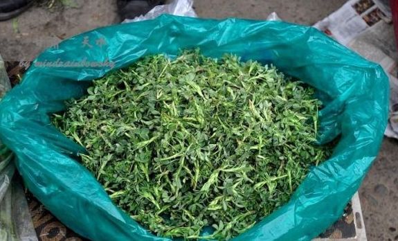 懷孕後母親給五萬，婆婆送袋野菜，嫌髒扔一邊，一周後打開墮了胎