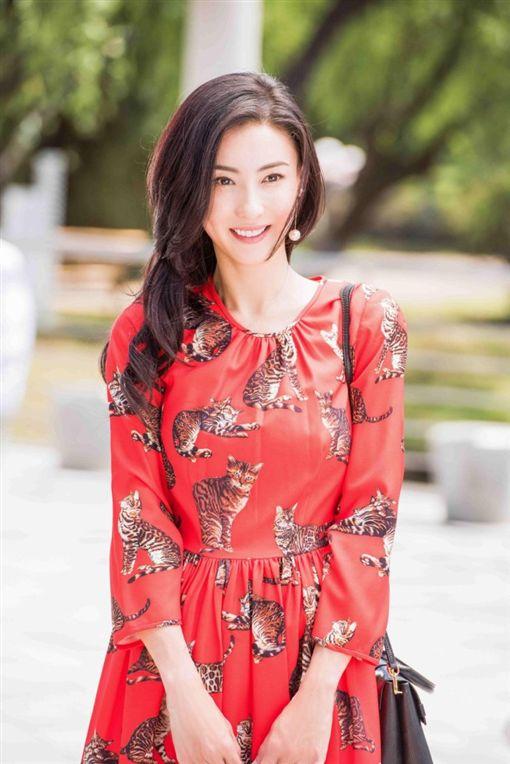 張柏芝被曝入駐價值7000萬豪宅？新房正裝修等待第三胎孩子生父團聚 ?