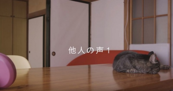 貓咪認得主人的聲音嗎？日本感人廣告告訴你 | 