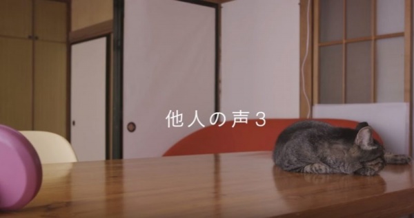 貓咪認得主人的聲音嗎？日本感人廣告告訴你 | 