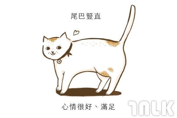 9個貓咪尾巴傳達的訊息！「摸貓摸到尾巴狂甩」好可愛？其實貓咪正在忍耐內心怒火...