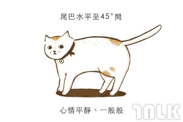 9個貓咪尾巴傳達的訊息！「摸貓摸到尾巴狂甩」好可愛？其實貓咪正在忍耐內心怒火...