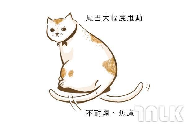 9個貓咪尾巴傳達的訊息！「摸貓摸到尾巴狂甩」好可愛？其實貓咪正在忍耐內心怒火...