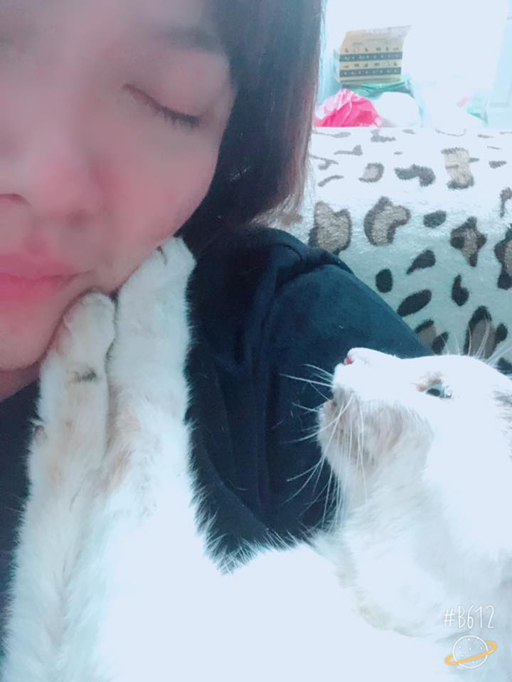 謝謝妳22年的陪伴！老貓「含淚最後一次告別」　伸手安撫馬麻：我會想妳的
