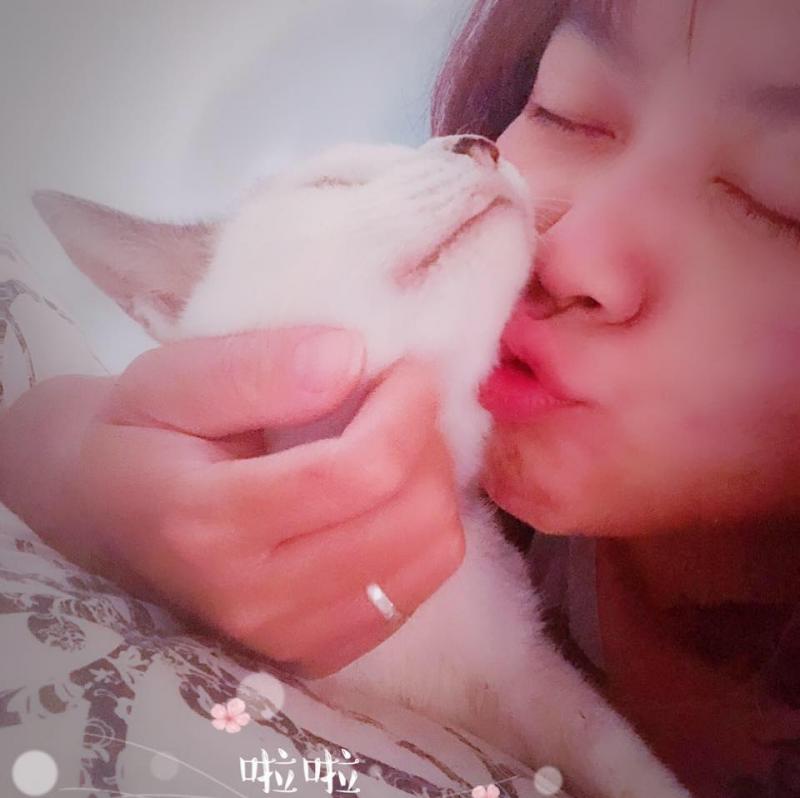 謝謝妳22年的陪伴！老貓「含淚最後一次告別」　伸手安撫馬麻：我會想妳的