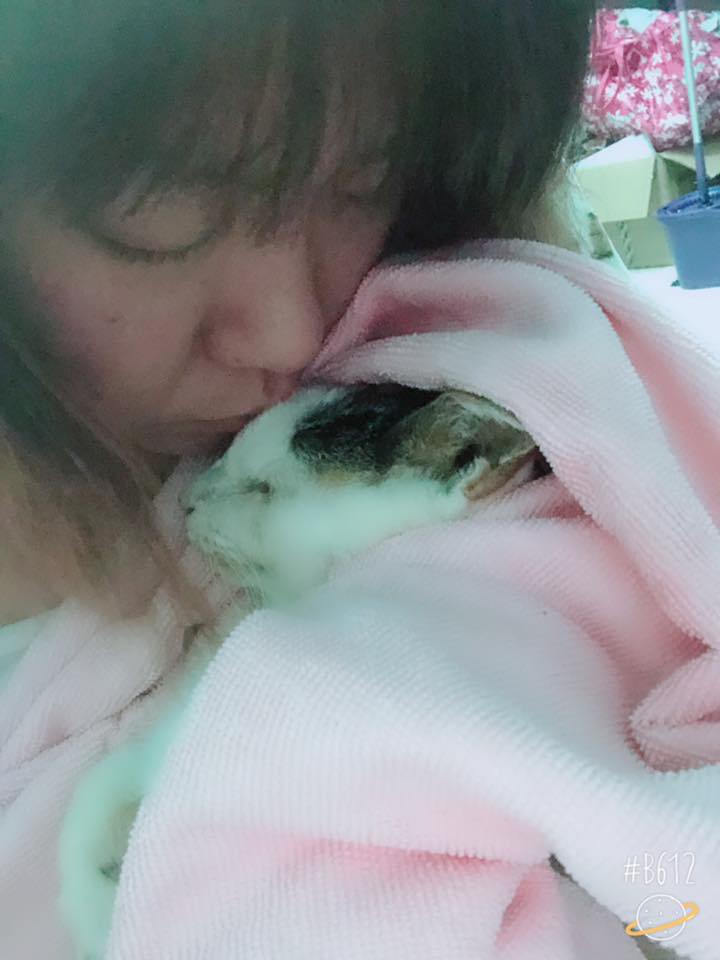 謝謝妳22年的陪伴！老貓「含淚最後一次告別」　伸手安撫馬麻：我會想妳的