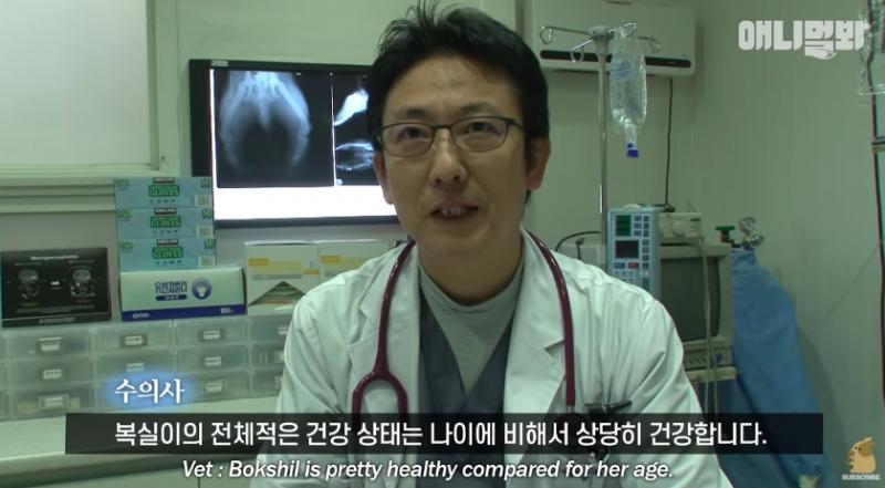 主人遷家前丟一句「你在這裡等」　忠犬「從幼年→老年」原地苦守10年…
