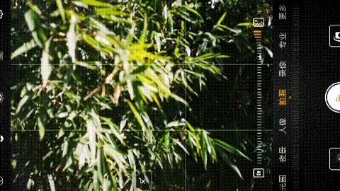 原來手機邊上這兩個鍵，在拍照時這麼關鍵！