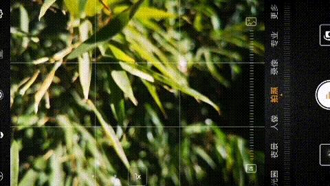原來手機邊上這兩個鍵，在拍照時這麼關鍵！