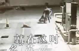 他開車被流浪狗擋住去路，弄清真相後不禁感謝：它救了我一命