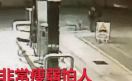 他開車被流浪狗擋住去路，弄清真相後不禁感謝：它救了我一命