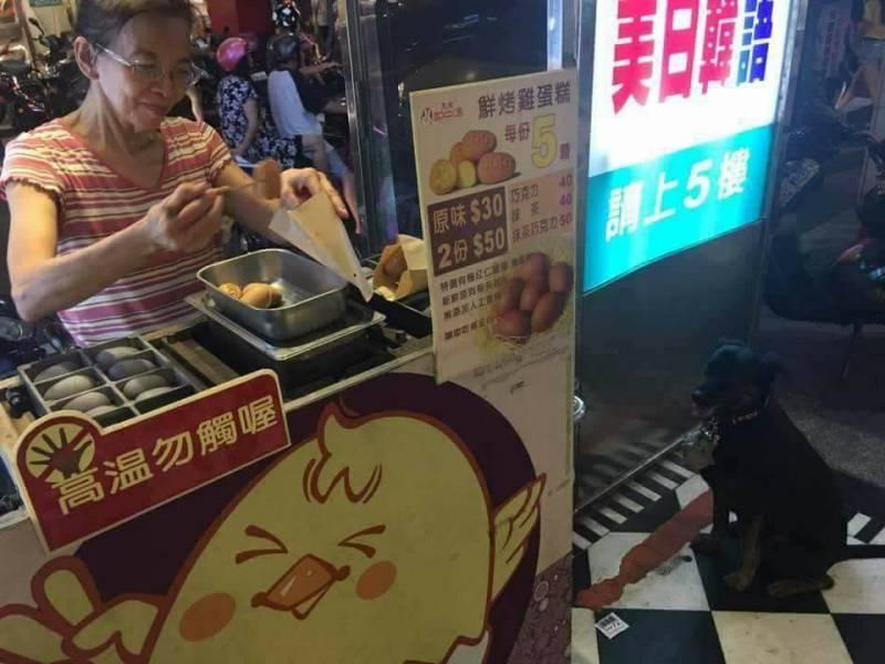 教過狗狗「要吃的就乖乖坐好」　傻黑汪興奮跳車「坐地等蛋餅」：把拔買這個～