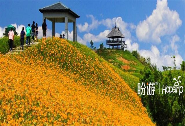 如果2018這些景區你沒有去過，希望2019你不要錯過！