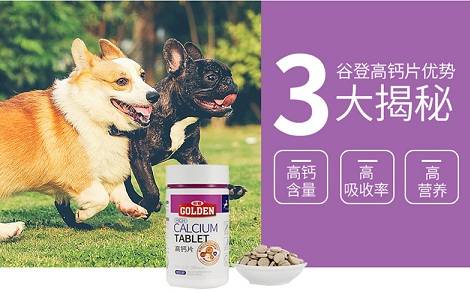 幼犬如果缺鈣了會怎麼樣？幼犬缺鈣吃什麼補鈣效果最快最好?