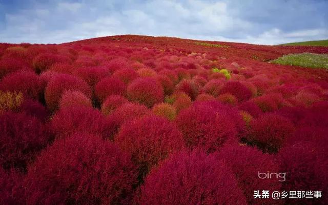 世界最神奇的22個地方，見過兩個算你牛！